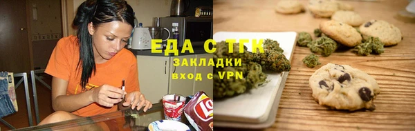 стаф Дмитров
