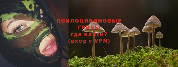 мдпв Дмитриев